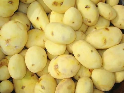 Machines Manufacturing Potato Chips Automatic Potato Chips Making Machine 50kg