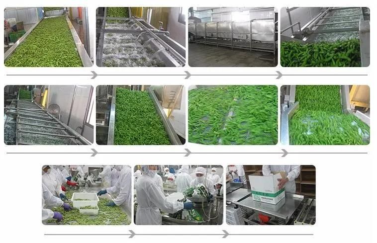 Fruits and Vegetavles Cleaning Air Drying Machine Air Dryer Production Line
