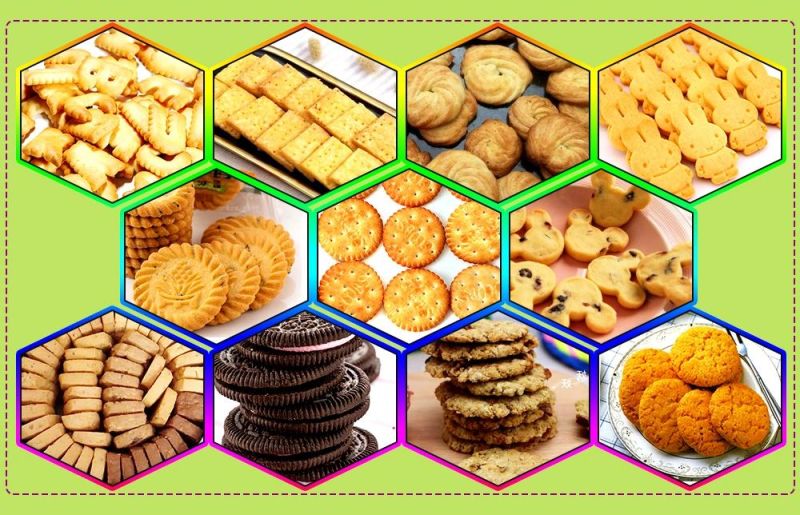 Biscuit Cookies Soft and Hard Biscuit Production Line Small Biscuits Production Line