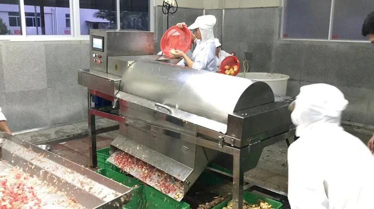Shanghai Genyond Pomegranate Seeds Separating Machine