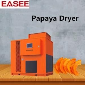 Commercial Use Dryer Machine Dehumidifier for Papaya Dryer Fruit Drying Equipment