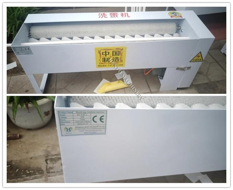 Pakistan Hot Selling Egg Washer Egg Cleaning Machine
