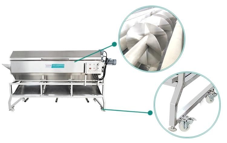 Industrial Brush Type Root Potato Washer Washing Peeler Peeling Machine