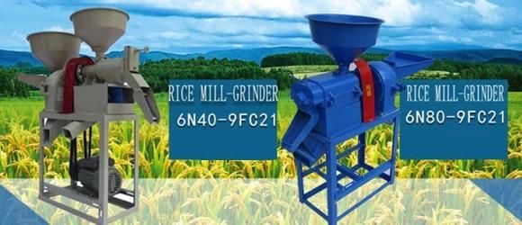 Mini/Small Rice Mill for Home Use