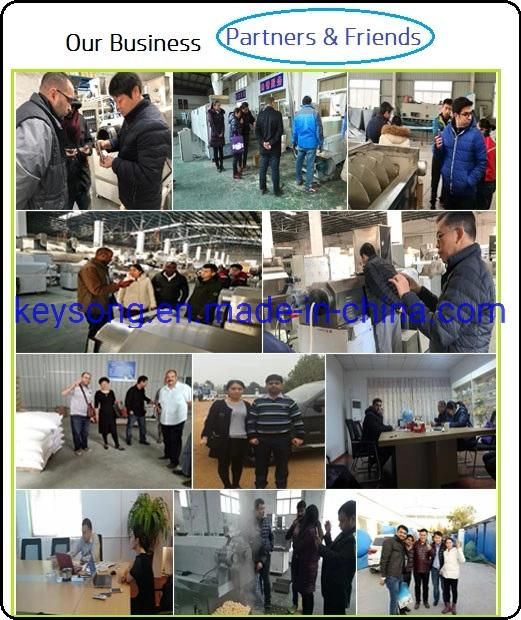 Continuous Fryer Tortilla Corn Chips Processing Line Making Machine