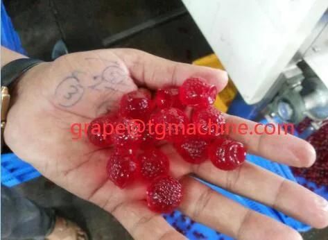 Automatic Gummy Candy Machine/450kg/H Jelly Candy Machine/Gummies Candy Machine