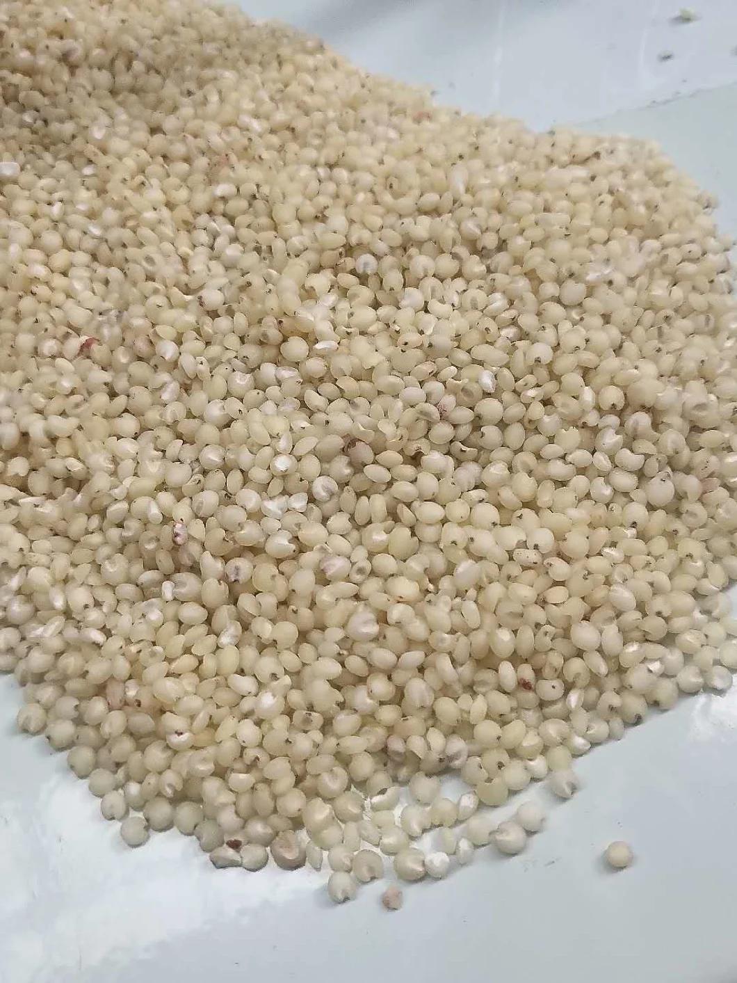 Clj Brand Sorghum Rice Process Professional Auto Rice Mill Machine