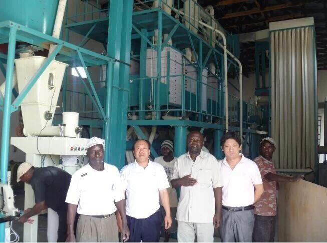 Maize Flour Milling Machine 50tpd in Africa