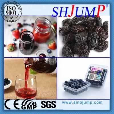 High-Quality Blueberry Processing Plant Machinery