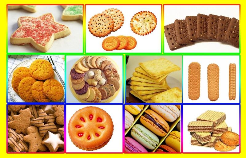 Industrial Biscuit Making Machine Soft and Hard Biscuit Machine Small Biscuit Production Line