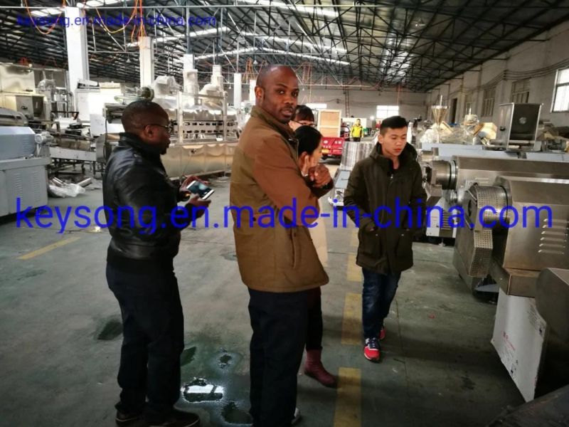 Professional Manufacturer Continuous Conveyor Mesh Belt Dryer