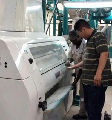 120tons Corn Flour Milling Machines of 5 Years Sales Service