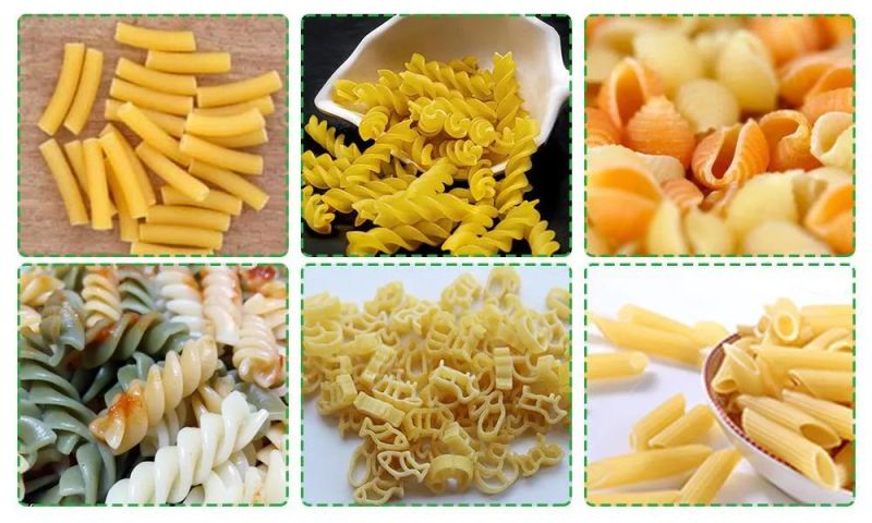 Professional Macaroni Pasta Making Machine with Cheap Factory Price Pasta Machine