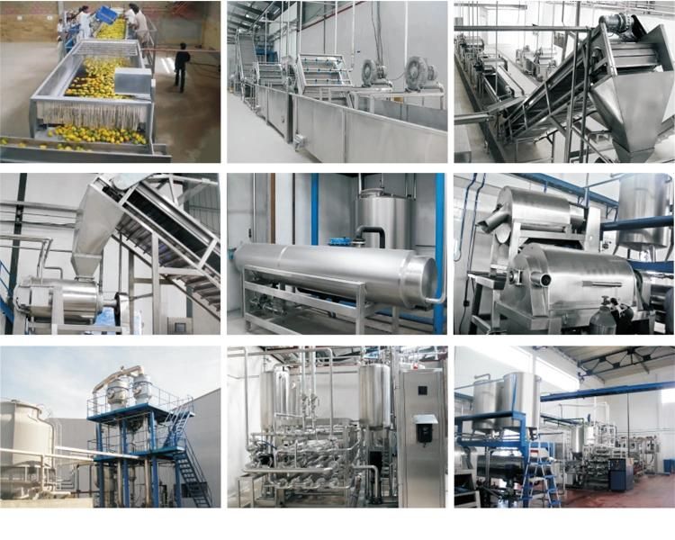 Fruit Leather Processing Line Puree Spreading Dosing and Drying System