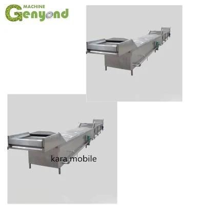 Genyond Canned Fruit Production Process Line