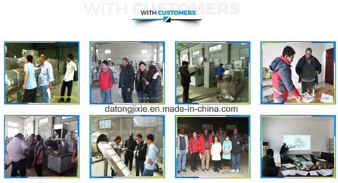 Twin Screw Extruder Pet Food Machine