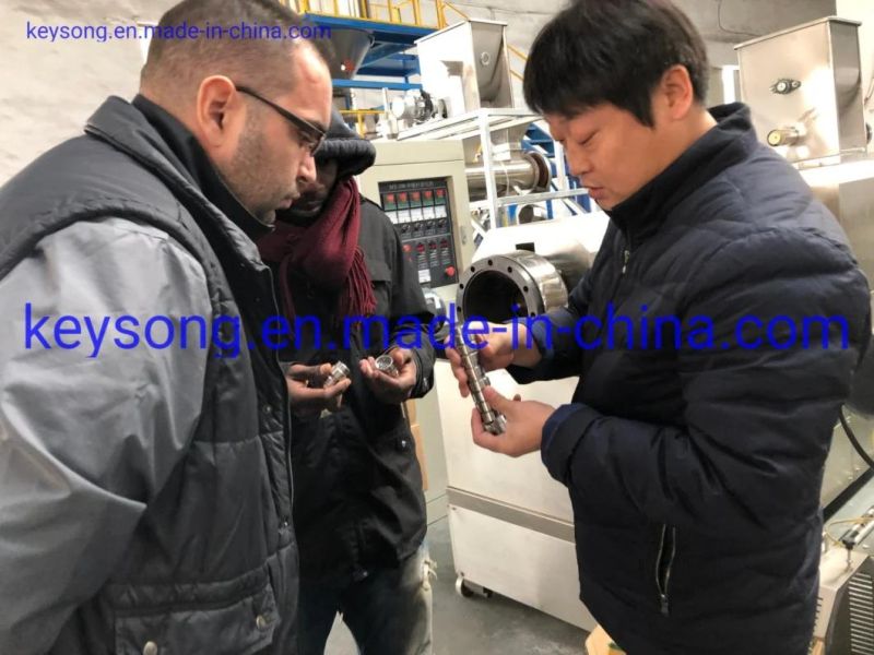 Continuous Hot Air Circulation Mesh Belt Dryer Food Machine