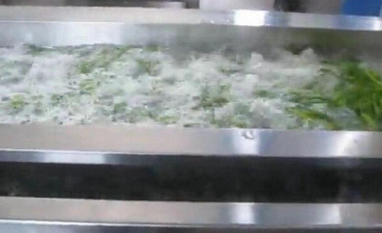 Low Price Industrial Vegetable Air Bubble Washing Plant for Tomato