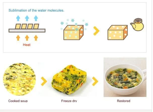 Lyophilizer Freeze Drying Machine Cooked Soup Freeze Dryer
