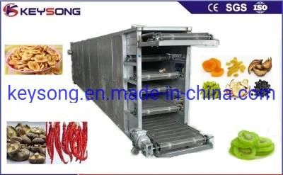Vegetable Conveyor Mesh Belt Dryer