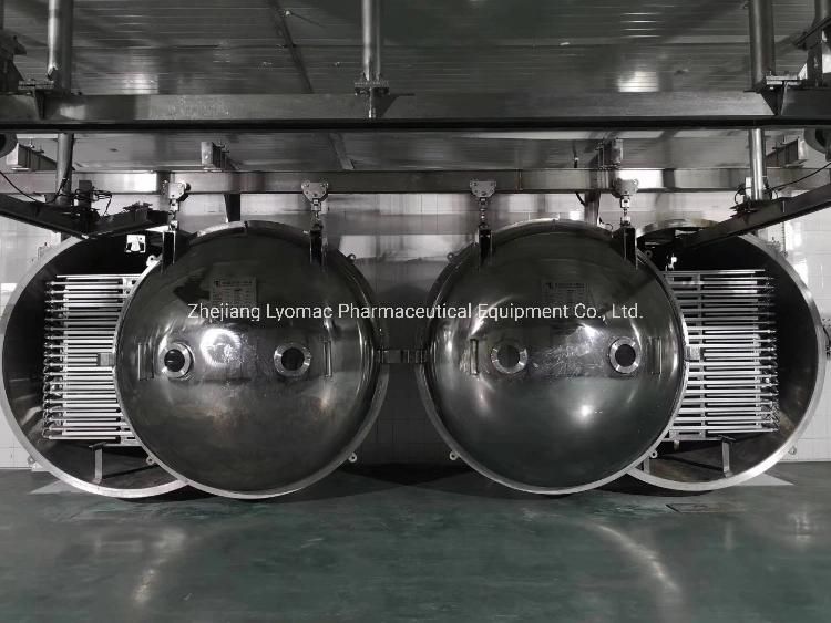 Hot Sale Industrial Fruit Dryer Machine Vegetable Food Vacuum Freeze Dryer