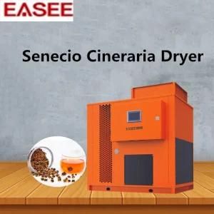 High-Level Smart Senecio Cineraria Dryer Machine Agriculture Drying Equipment