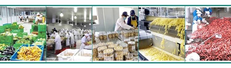 Industrial Full Steam Heated Automatic Potato French Fries Blanching Machine