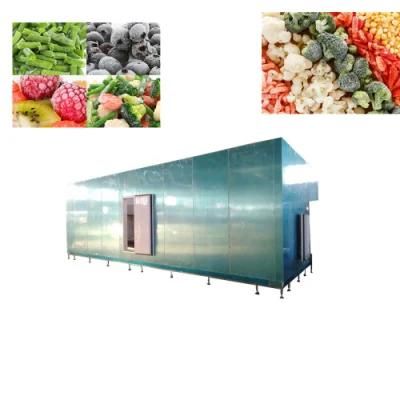 China Manufacturer Supply Vegetable Fruit Quick Freezing Machine