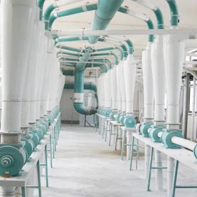 Ce ISO Approved 50t Milling Maize Flour Machinery Posho Mill Crushing Equipment