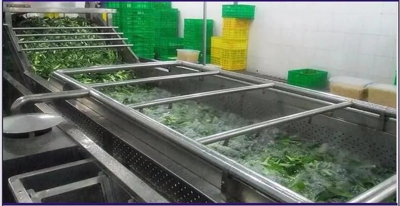 High Output 800kg/H Fruit Vegetable Washing Cleaning Machinery