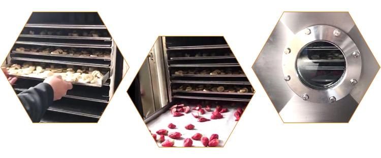 High Quality Freeze Dryer Fruits Machinedry Strawberry Vacuum Lyophilizer