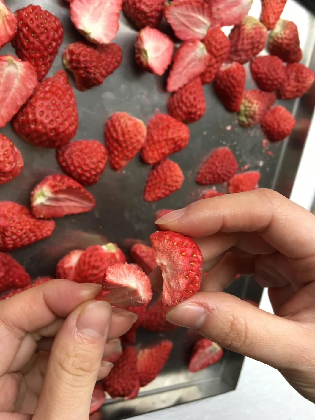 Freeze Dried Fruit Freezing Machine Dried Strawberry Vacuum Freeze Dryer
