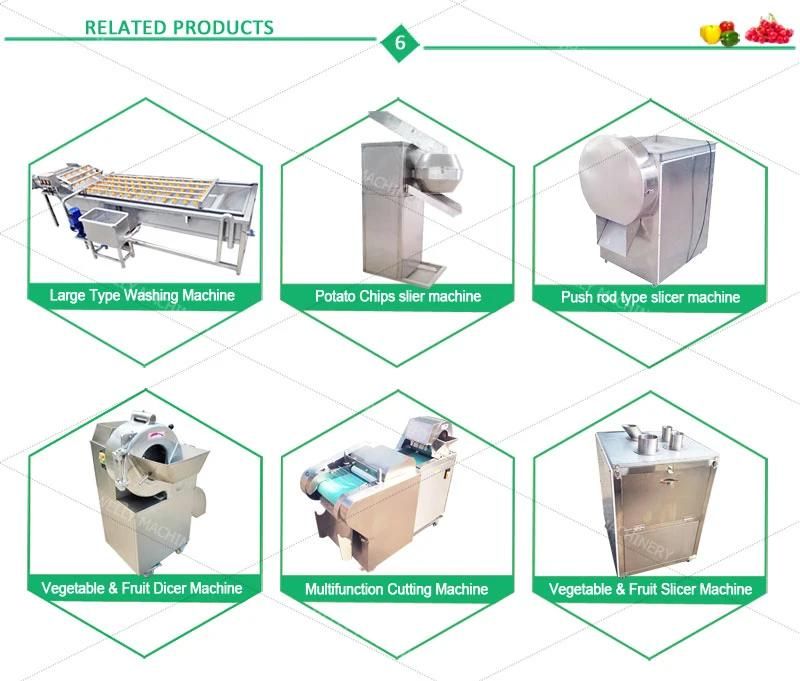 Bubble Washing Machine for Moringa Leaf Rutabaga Cherry Tomato Avocado for Sale