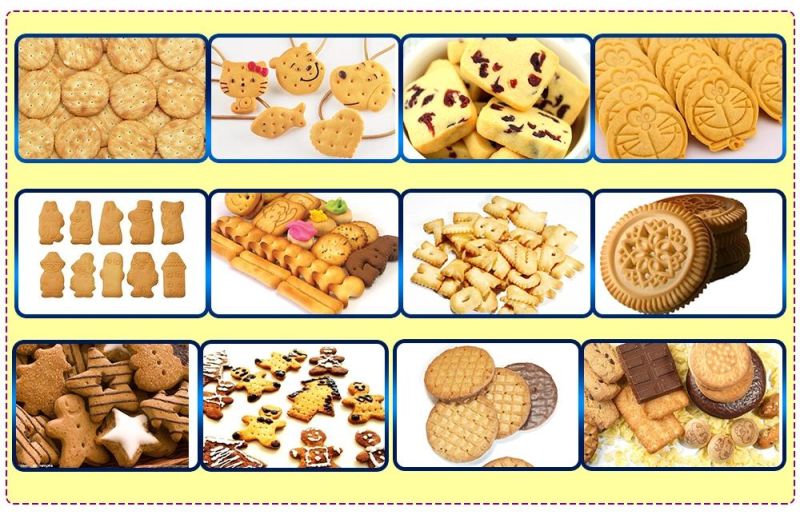 Skywin Hot Selling New Rotary Molder Soft Biscuit Making Machine Stainless Steel with Factory Price