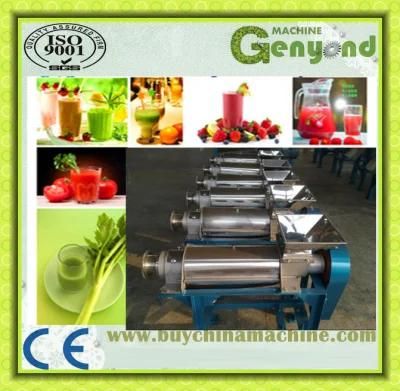 Stainless Steel Spiral Fruit Juice Extractor