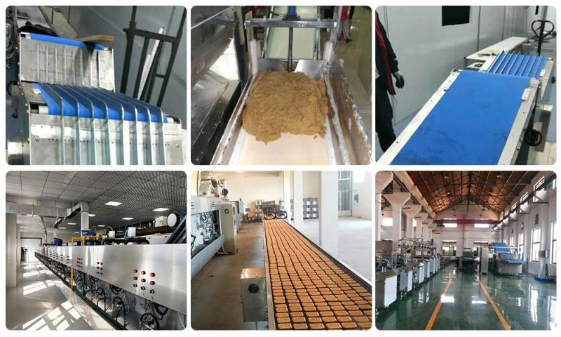 Cookies Biscuit Making Machine Durable Biscuit Machine Delicious Biscuit Making Machine
