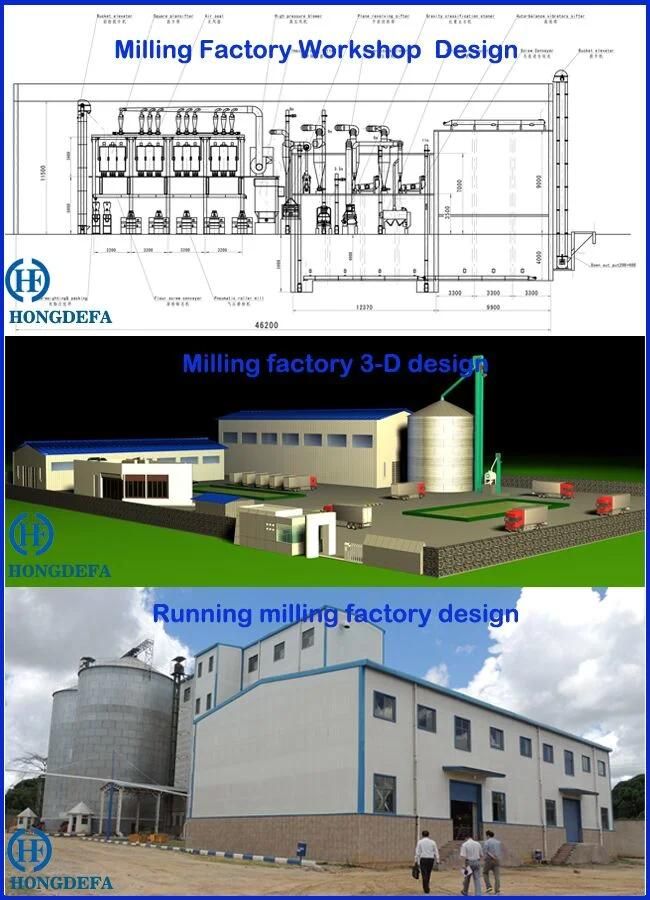 50tpd Flour Making Machine
