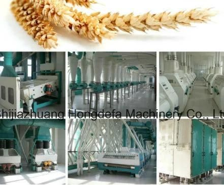 Wheat Grain Processing Machine Grain Screening Purifier Wheat Mill