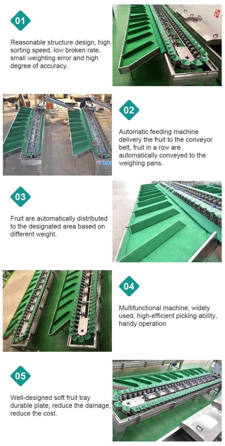 Easy Operation Fruit Vegetable Processing Machines Avocado Garlic Sorting Machine