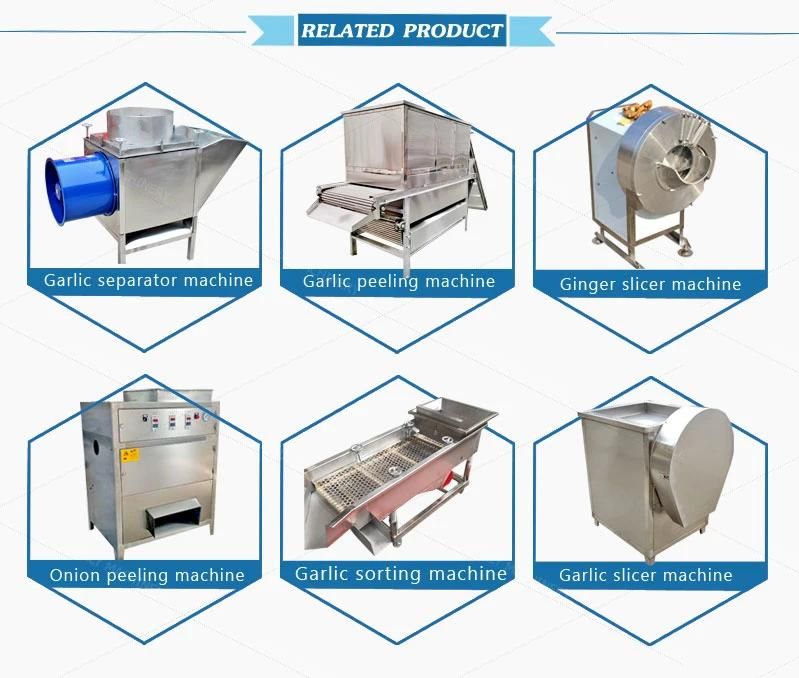 Popular Garlic Ginger Paste Machine Pepper Sauce Grinding Machine