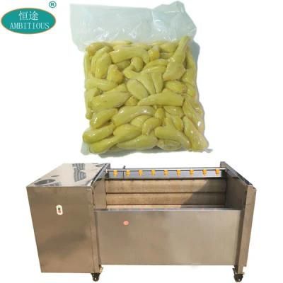 Fruit Vegetable Washing and Peeling Machines Ginger Washing Machine