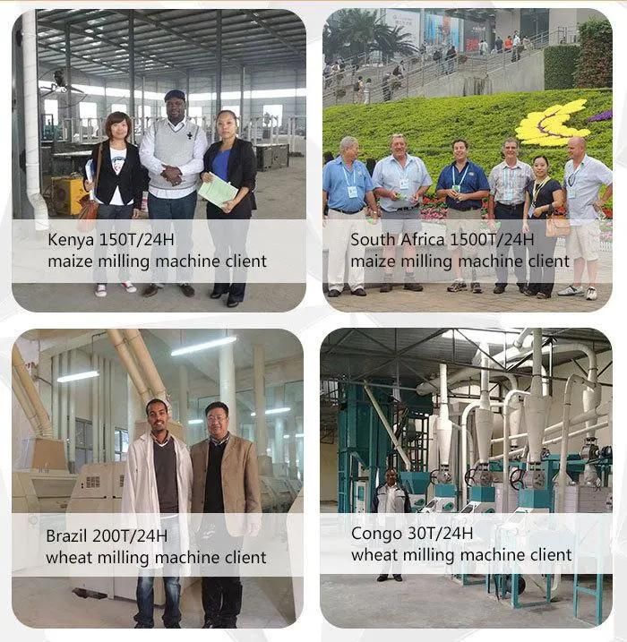 50ton Per Day Wheat Flour Milling Machine Wheat Grinding Machine