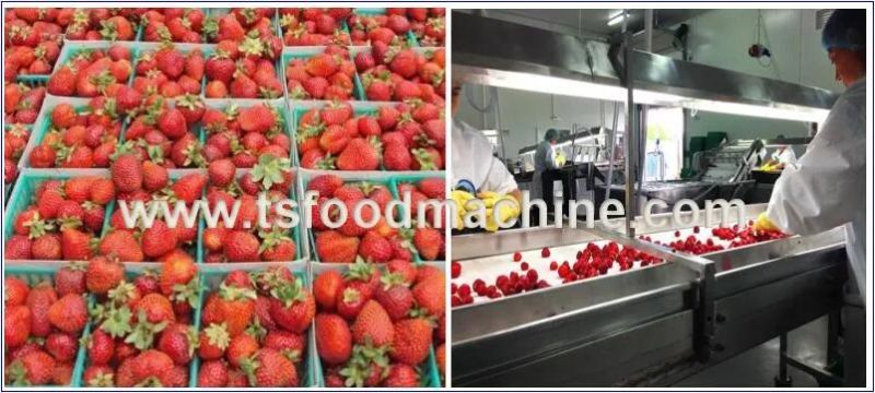 Bags Food and Fruit Sauce Spray Sterilization Equipment