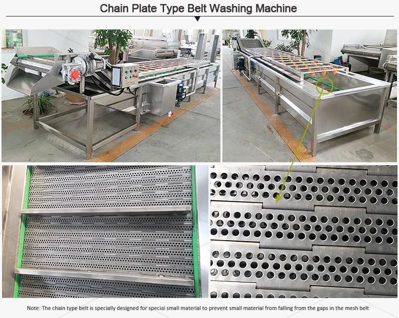 Easy Operation Scallion Welsh Onion Apium Graveolens Celery Washing Machine for Farm Use