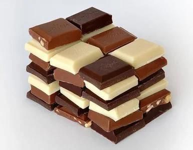 Sg Multi-Function Handmade Chocolate Tempering Machine