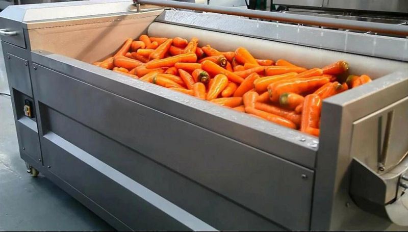 Beet Peeling and Washing Cleaning Machinery Beetroot Peeler Machine