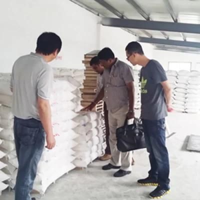 Egypt Running 50t-80t Wheat Flour Milling Machine
