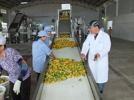 Full Automatic Canned Mango Jam Production Line
