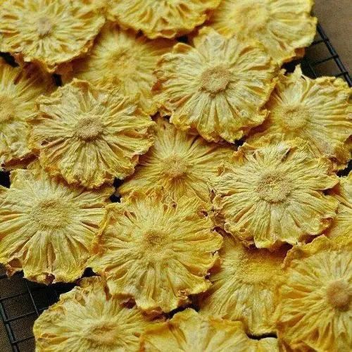 Hot Air Circulating Oven Hot Air Fruit and Vegetables Dryer Machine