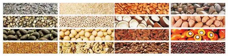 Online Top Sale Good Oil Machine for Extract Grain Seed Sunflower Peanut Oil